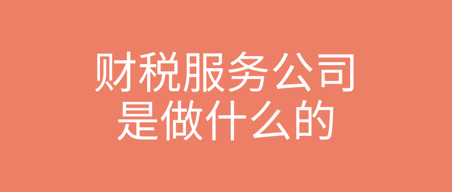 财税服务公司是做什么的 财税服务公司是做什么的